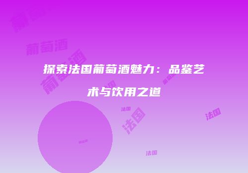 探索法国葡萄酒魅力：品鉴艺术与饮用之道