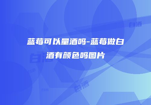 蓝莓可以量酒吗-蓝莓做白酒有颜色吗图片