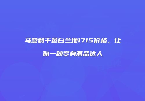 马爹利干邑白兰地1715价格，让你一秒变身酒品达人