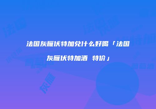 法国灰雁伏特加兑什么好喝「法国灰雁伏特加酒 特价」