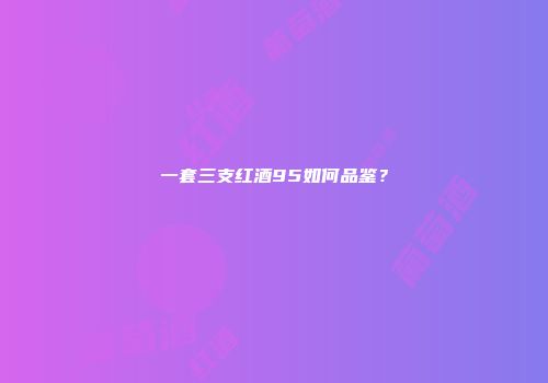 一套三支红酒95如何品鉴？
