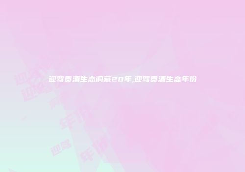 迎驾贡酒生态洞藏20年,迎驾贡酒生态年份