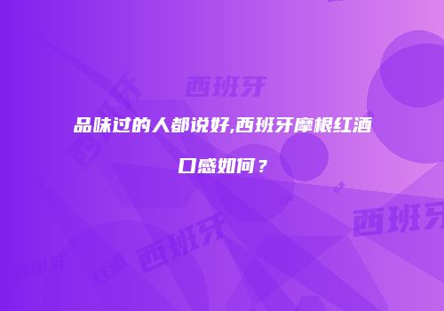 品味过的人都说好,西班牙摩根红酒口感如何？