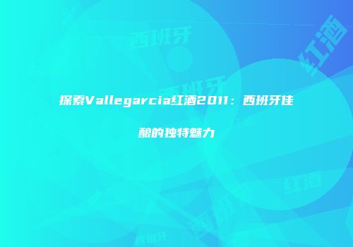 探索Vallegarcia红酒2011：西班牙佳酿的独特魅力