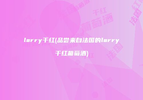 larry干红(品尝来自法国的larry干红葡萄酒)