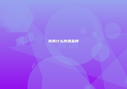 陕西什么啤酒品牌