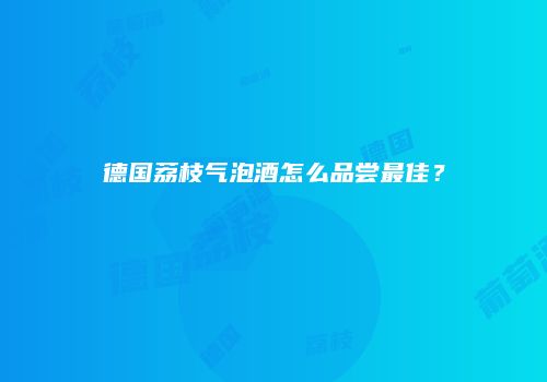 德国荔枝气泡酒怎么品尝最佳？