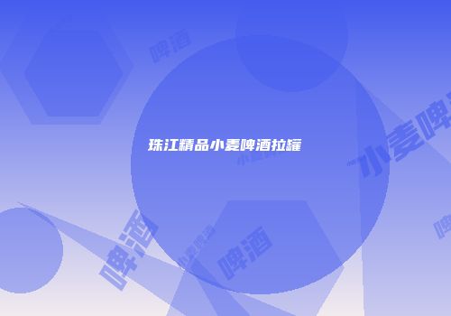 珠江精品小麦啤酒拉罐