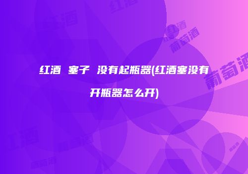 红酒 塞子 没有起瓶器(红酒塞没有开瓶器怎么开)