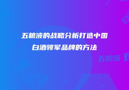 五粮液的战略分析打造中国白酒领军品牌的方法