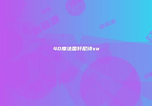 40度法国轩尼诗xo