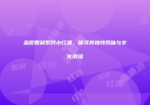品尝智利系列小红酒，探寻其独特风味与文化底蕴