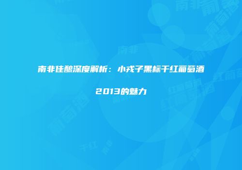 南非佳酿深度解析：小戎子黑标干红葡萄酒2013的魅力