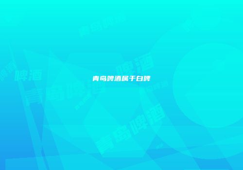 青岛啤酒属于白啤
