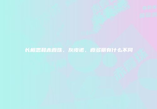 长相思和赤霞珠、灰皮诺、霞多丽有什么不同