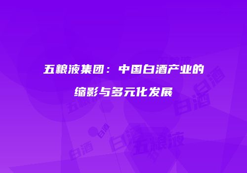 五粮液集团：中国白酒产业的缩影与多元化发展
