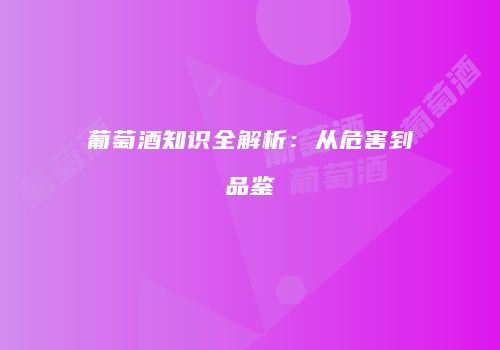 葡萄酒知识全解析：从危害到品鉴