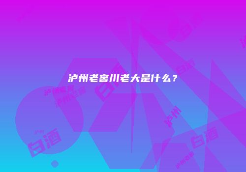 泸州老窖川老大是什么？