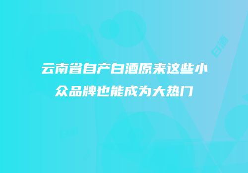云南省自产白酒原来这些小众品牌也能成为大热门