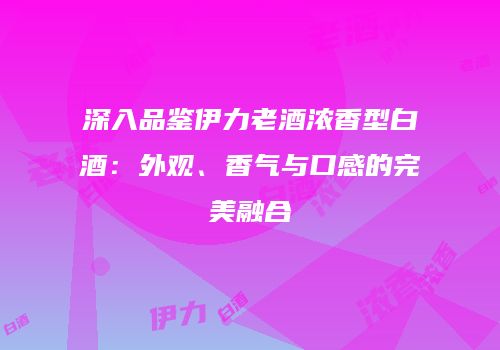 深入品鉴伊力老酒浓香型白酒：外观、香气与口感的完美融合