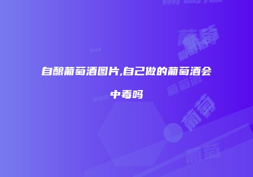 自酿葡萄酒图片,自己做的葡萄酒会中毒吗