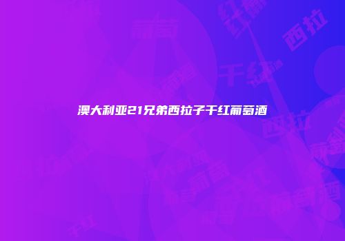 澳大利亚21兄弟西拉子干红葡萄酒