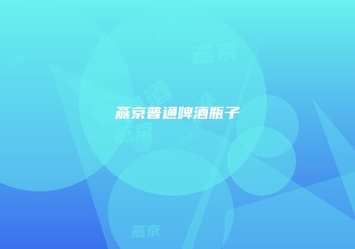 燕京普通啤酒瓶子