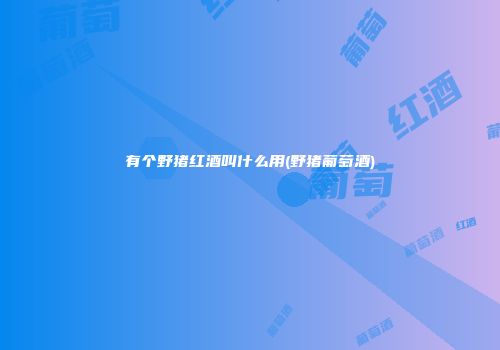 有个野猪红酒叫什么用(野猪葡萄酒)