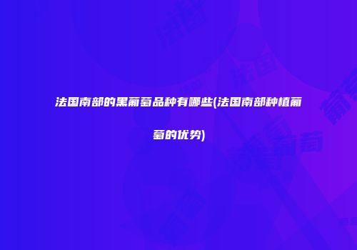 法国南部的黑葡萄品种有哪些(法国南部种植葡萄的优势)