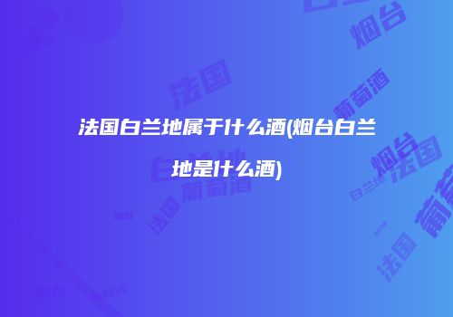 法国白兰地属于什么酒(烟台白兰地是什么酒)