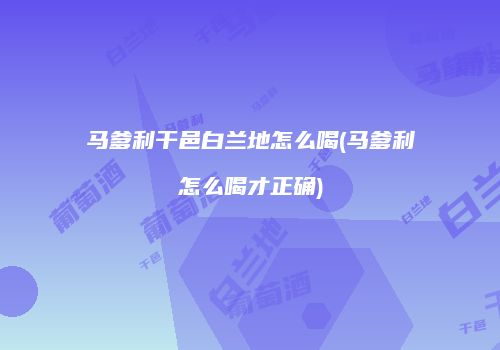 马爹利干邑白兰地怎么喝(马爹利怎么喝才正确)