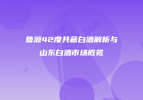 鲁源42度共藏白酒解析与山东白酒市场概览