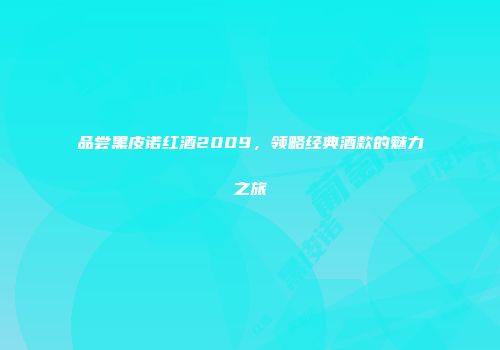 品尝黑皮诺红酒2009，领略经典酒款的魅力之旅