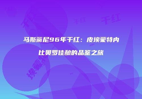 马斯蒂尼96年干红：皮埃蒙特内比奥罗佳酿的品鉴之旅