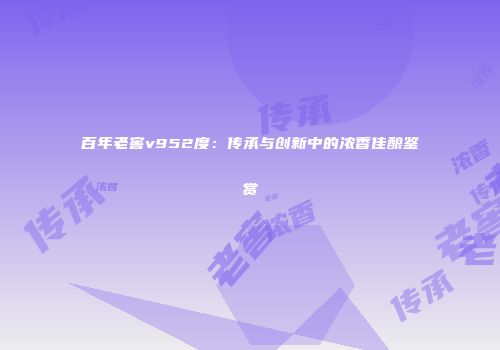 百年老窖v952度：传承与创新中的浓香佳酿鉴赏