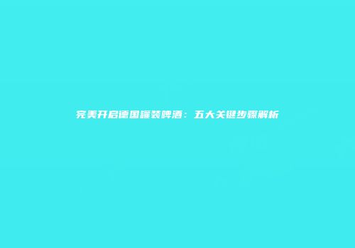完美开启德国罐装啤酒：五大关键步骤解析