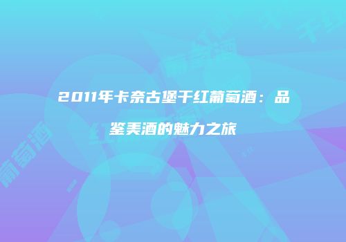 2011年卡奈古堡干红葡萄酒：品鉴美酒的魅力之旅