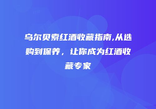 乌尔贝索红酒收藏指南,从选购到保养，让你成为红酒收藏专家