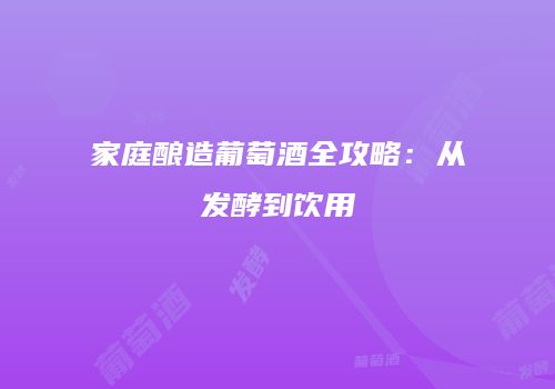 家庭酿造葡萄酒全攻略：从发酵到饮用