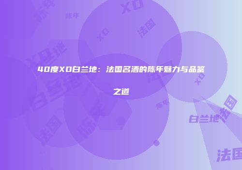 40度XO白兰地：法国名酒的陈年魅力与品鉴之道
