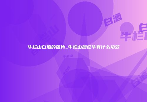 牛栏山白酒的图片_牛栏山加红牛有什么功效