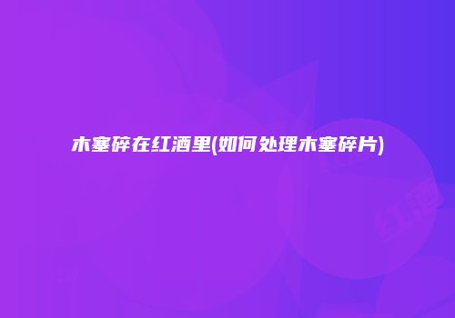 木塞碎在红酒里(如何处理木塞碎片)