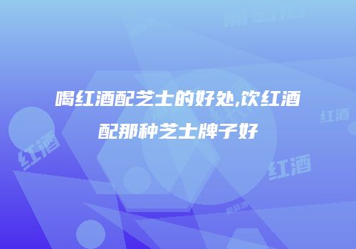 喝红酒配芝士的好处,饮红酒配那种芝士牌子好