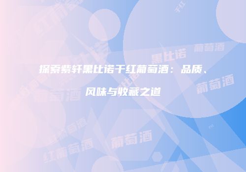 探索紫轩黑比诺干红葡萄酒：品质、风味与收藏之道