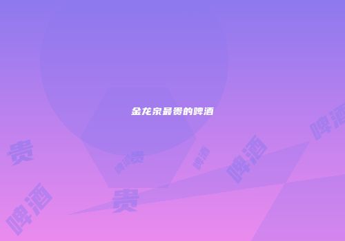 金龙泉最贵的啤酒