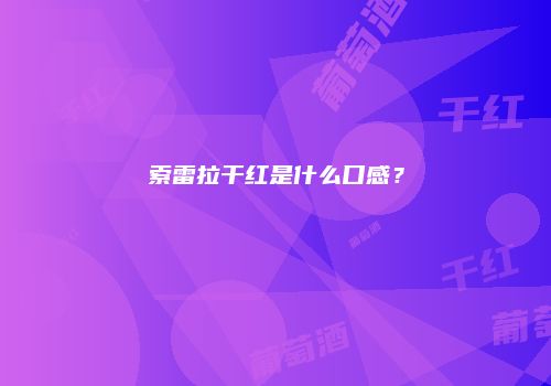索雷拉干红是什么口感？