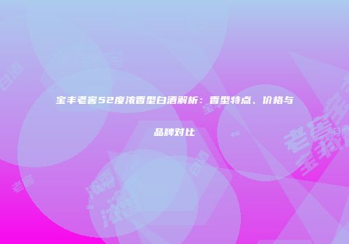 宝丰老窖52度浓香型白酒解析：香型特点、价格与品牌对比