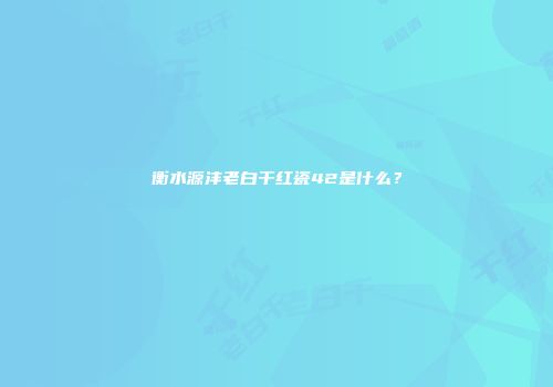 衡水源沣老白干红瓷42是什么？