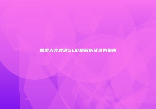 德国大奔啤酒5L价格解析及选购指南
