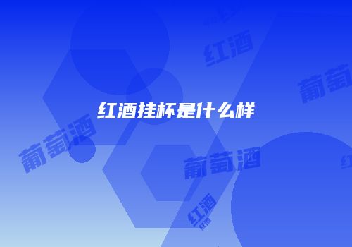 红酒挂杯是什么样